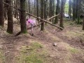 Obstacle-course11-Copy