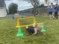 1st-and-2nd-Obstacle-Course21-Copy